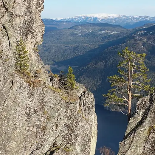 Videoproduktion från norsk expedition