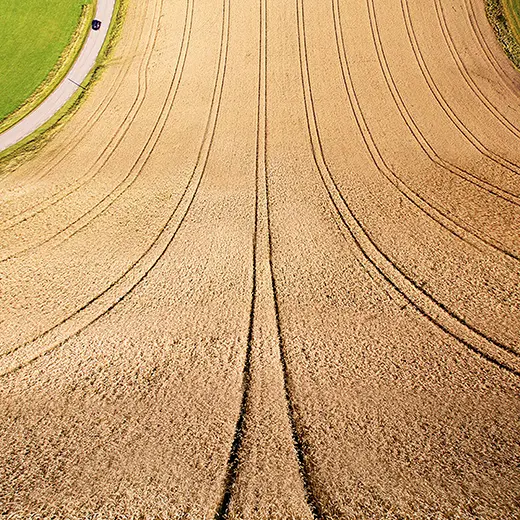 Drönarfoto fält med specialeffekter
