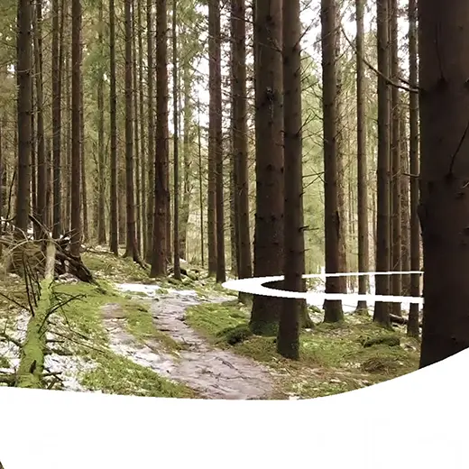 Videoproduktion med drönare och animerad grafik för Naturskyddsföreningen Stenungsund