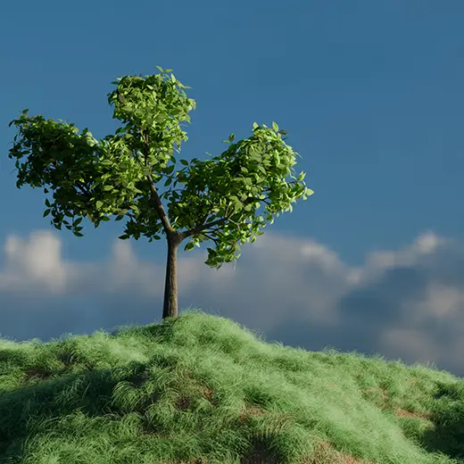 3D-rendering av träd med hair scattering i Blender